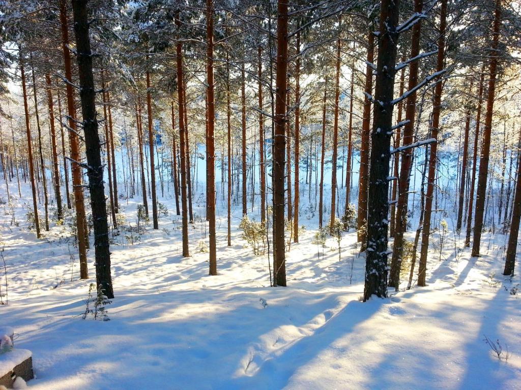 科图霍尔度假屋 Taipalsaari 外观 照片